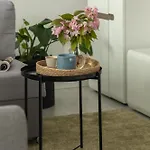 Ts Hello * Estetino