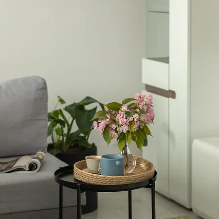 Ts Hello Apartment *