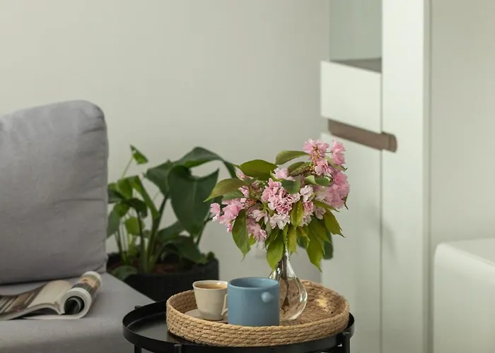 Ts Hello Apartamento *